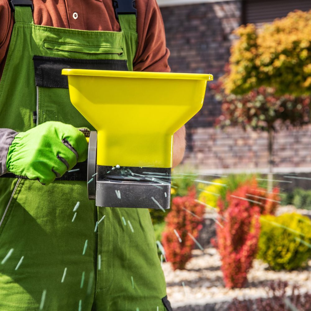 When Should I Fertilize My Lawn