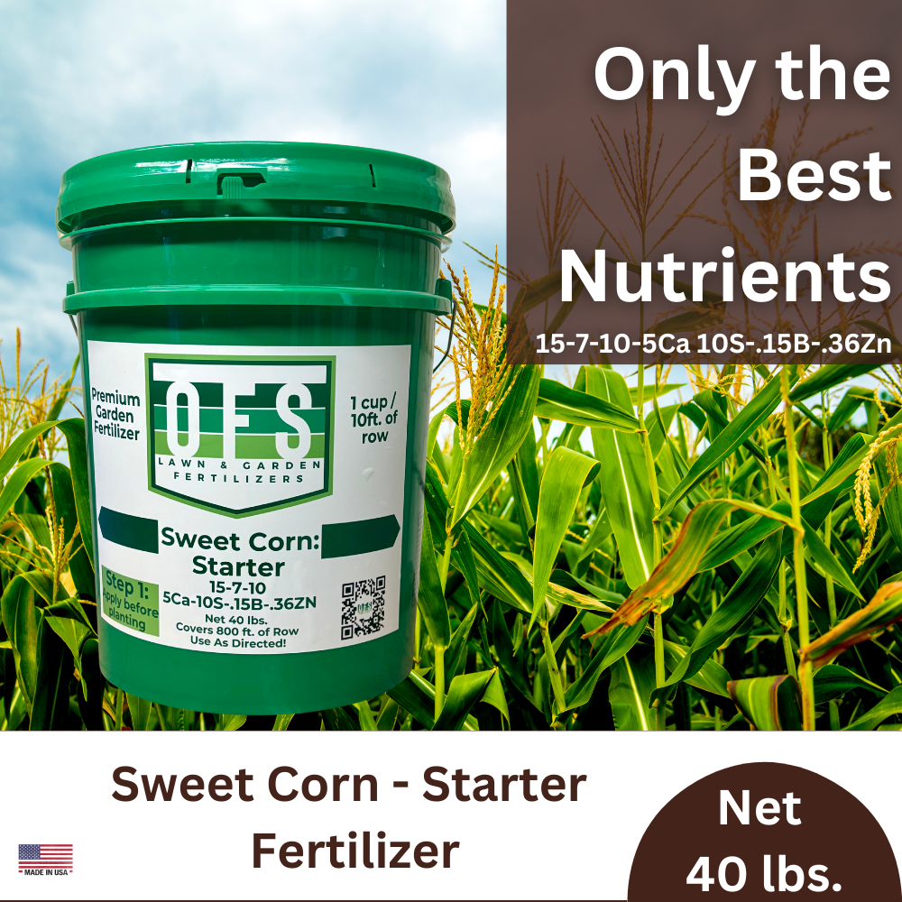 best fertilizer for corn after planting Sweet Corn