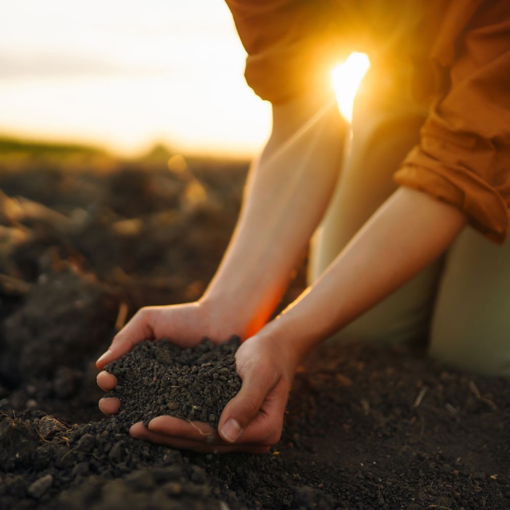 Soil Testing Content Image 1