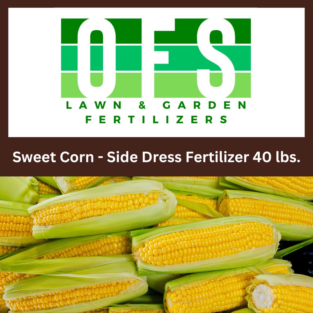 best fertilizer for planting sweet corn Sweet Corn